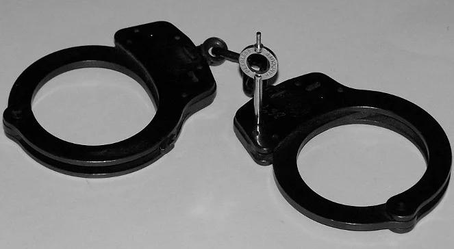 8 oskarżonych, 529 zarzutów za lewe zwolnienia