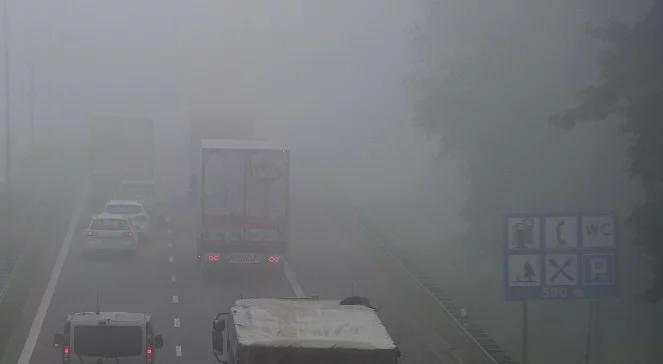 Pogoda na piątek: do 8 st. Celsjusza, możliwe mgły i deszcze