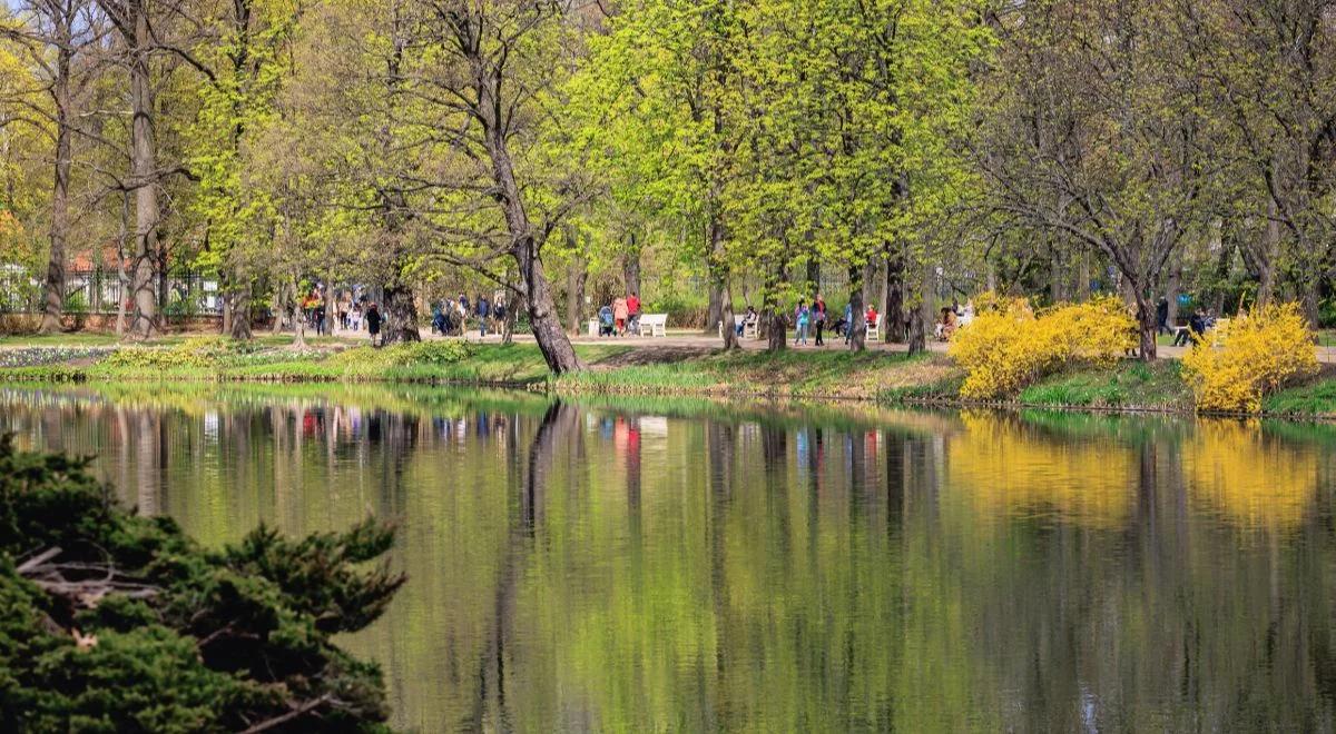 Czterolatek zgubił w parku mamę. Chłopca rozpoznał kolega z przedszkola