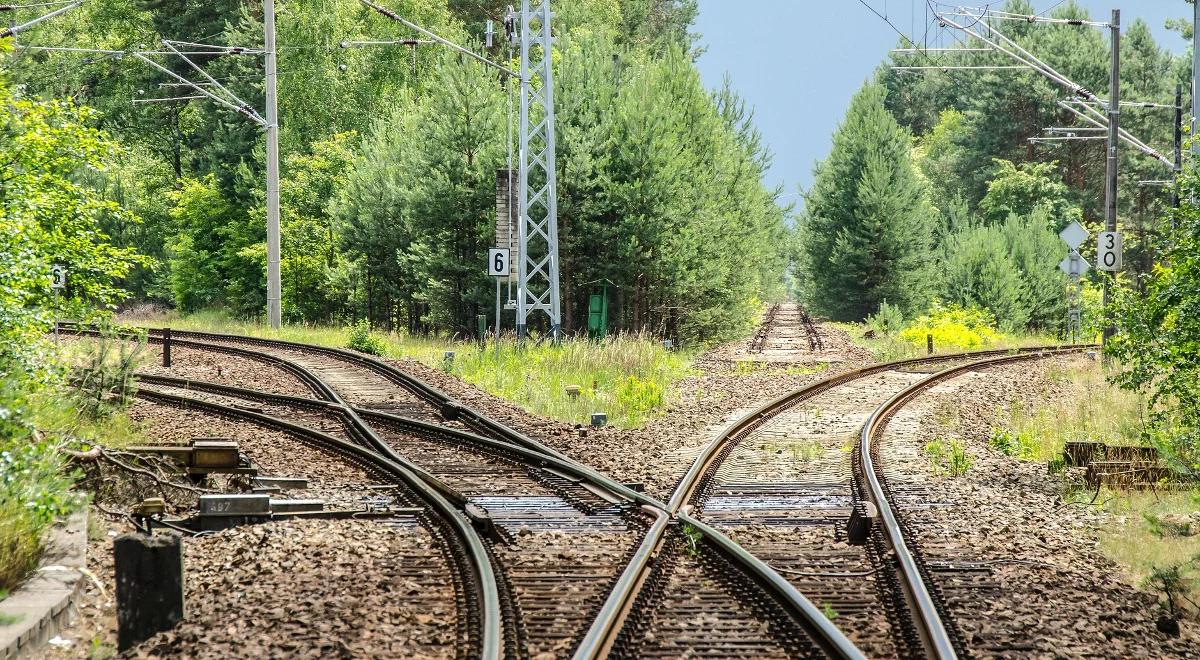 Rail Baltica - projekt, który połączy Polskę i kraje bałtyckie 