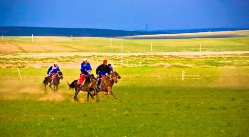 Mongolia. Kolejny kierunek ekspansji polskich firm