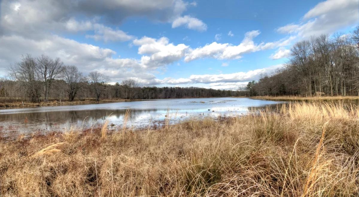 Sytuacja hydrologiczna i hydrogeologiczna w Polsce bardzo się poprawiła. Zawdzięczamy to m.in. opadom