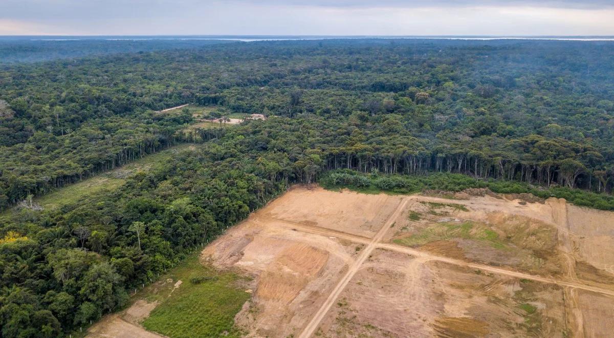 Tracimy żyjącą planetę. Liczebność gatunków drastycznie spada