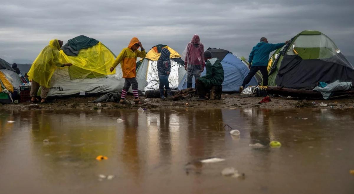 Kryzys migracyjny. Bułgaria może postawić płot na granicy z Grecją