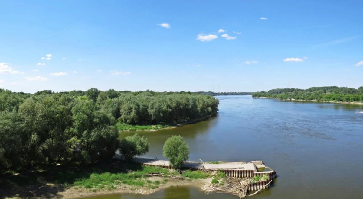 "Dzika Warszawa". Pod Pałacem Kultury można spotkać leśne zwierzęta