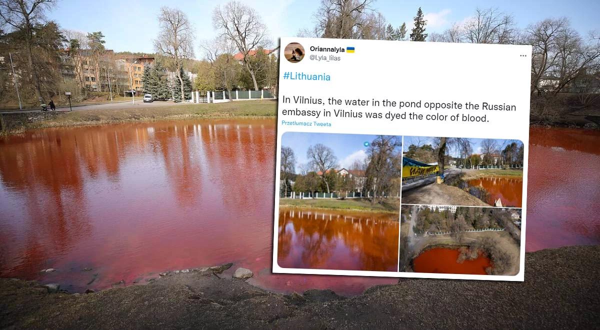 Litwa: staw przed ambasadą Rosji zabarwiony na kolor krwi. "Podkreśla zbrodnie na Ukraińcach"