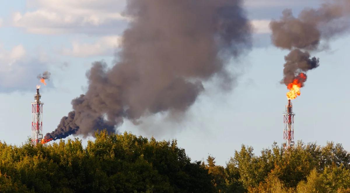 Minister środowiska chce przyśpieszyć walkę ze smogiem. Dziś sprawą zajmie się rząd