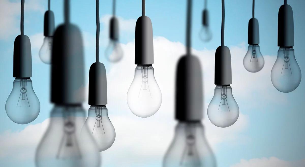Ekologia staje się modna. Polacy oszczędzają energię 