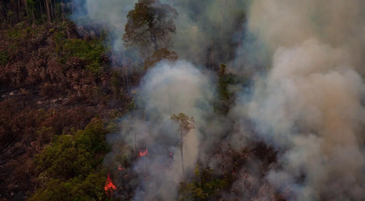 Amazonia w ogniu. Tak źle nie było od lat