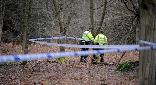 Nie żyje Bieriezowski. Policja: nie ma dowodów na zabójstwo
