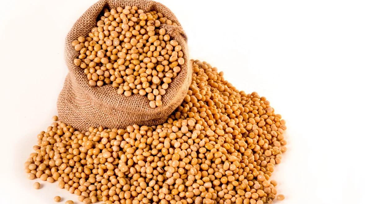 Z amerykańskiej soi będzie produkowane biopaliwo w UE 