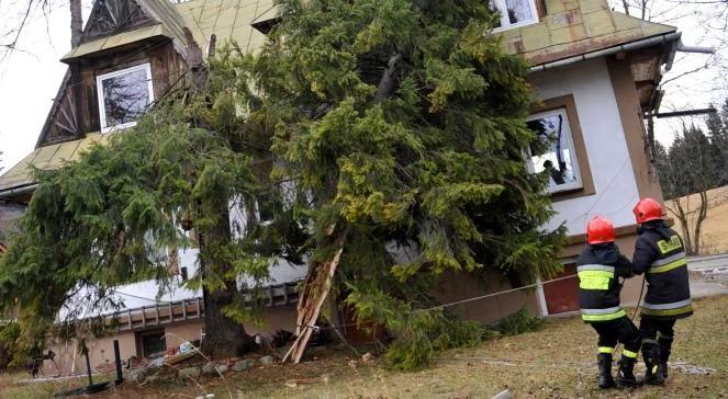 400 interwencji, 4 osoby ranne. Wichury nad Polską