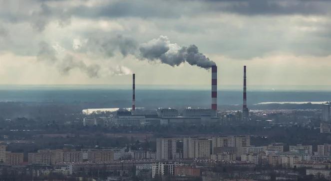 Polska skarży dyrektywę UE o jakości powietrza. "Te regulacje blokują rozwój gospodarczy"