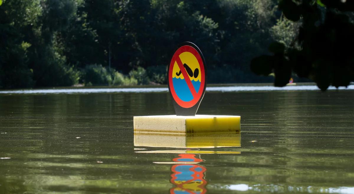Nie żyje 16 osób. Tragiczny bilans długiego weekendu
