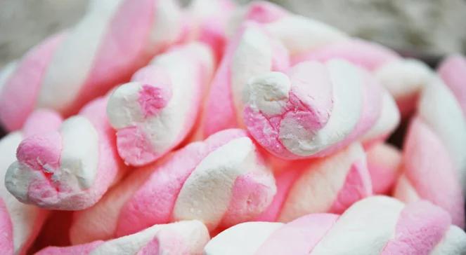 Test marshmallow drogowskazem sukcesu