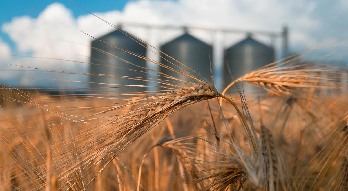 Wojna na Ukrainie a bezpieczeństwo żywnościowe. Kolejny dzień konferencji FAO