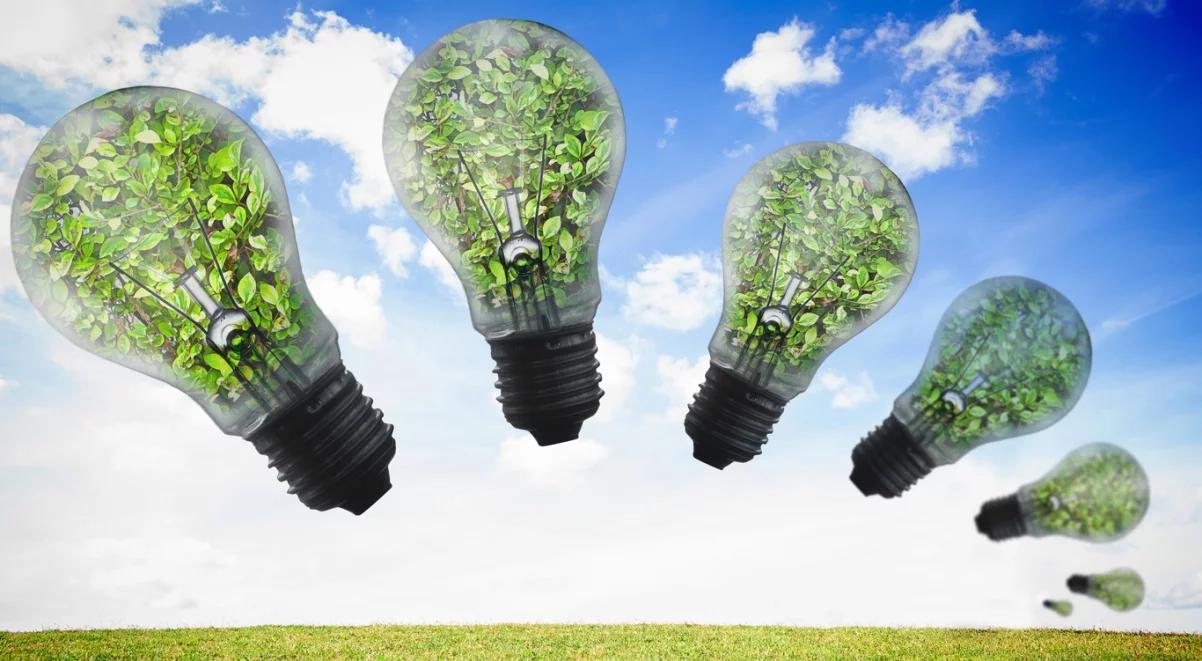 OZE: małym firmom produkującym energię ze źródeł odnawialnych przybywa problemów. Będą nowe rozwiązania prawne?