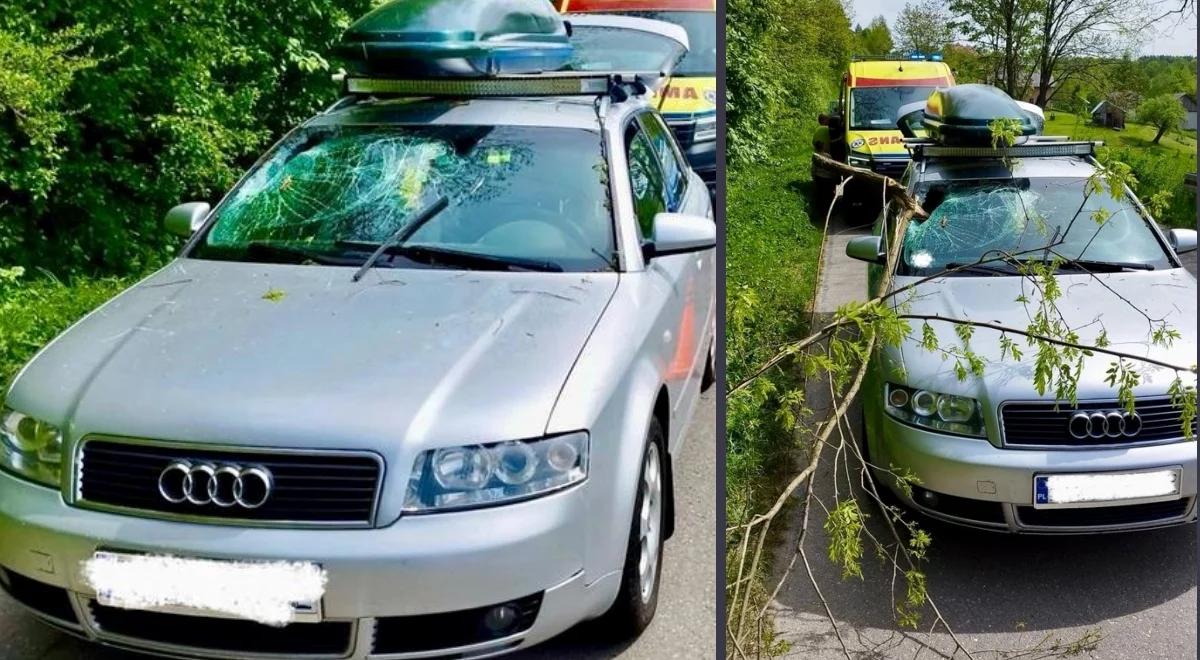 O krok od tragedii. Drzewo spadło na samochód, ranna 4-latka