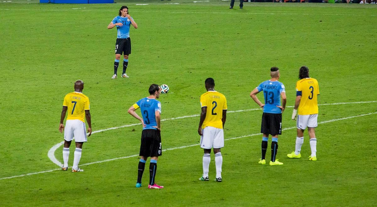 El. MŚ 2018: Cavani zawieszony na dwa mecze za incydent podczas Copa America