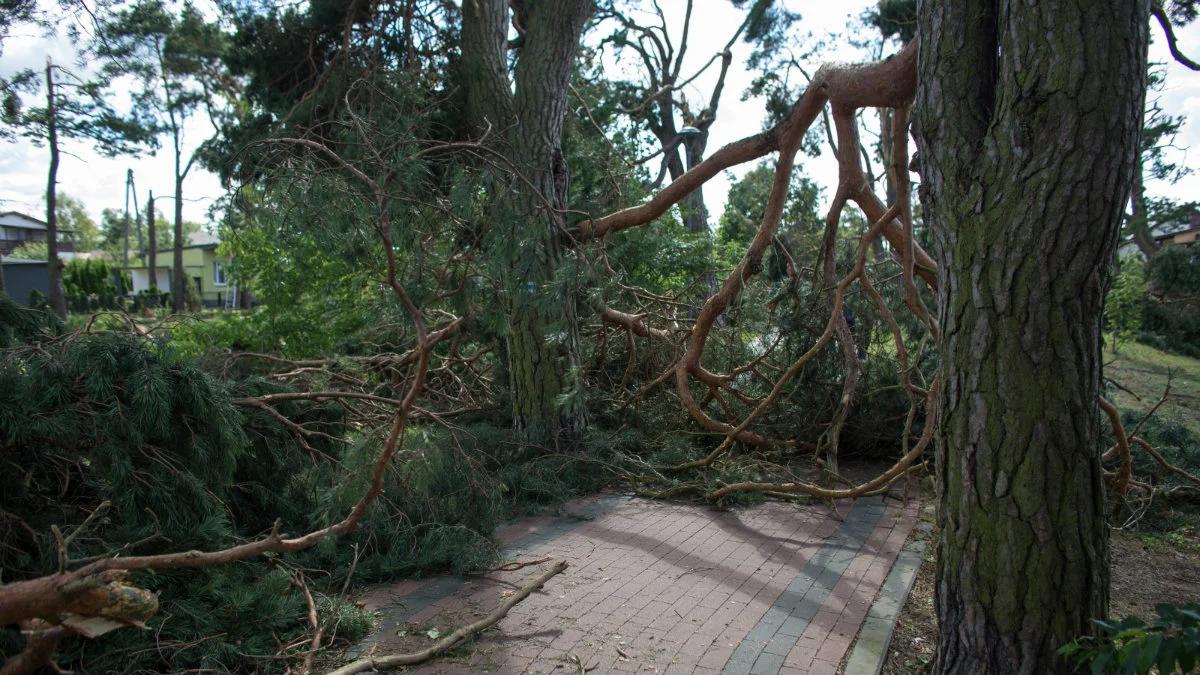 Nawałnice nad Polską. Dziesiątki tysięcy ludzi wciąż bez prądu po nawałnicach