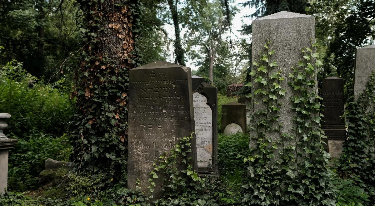 Stary Cmentarz Żydowski we Wrocławiu miejscem pełnym dawnej i zabytkowej architektury