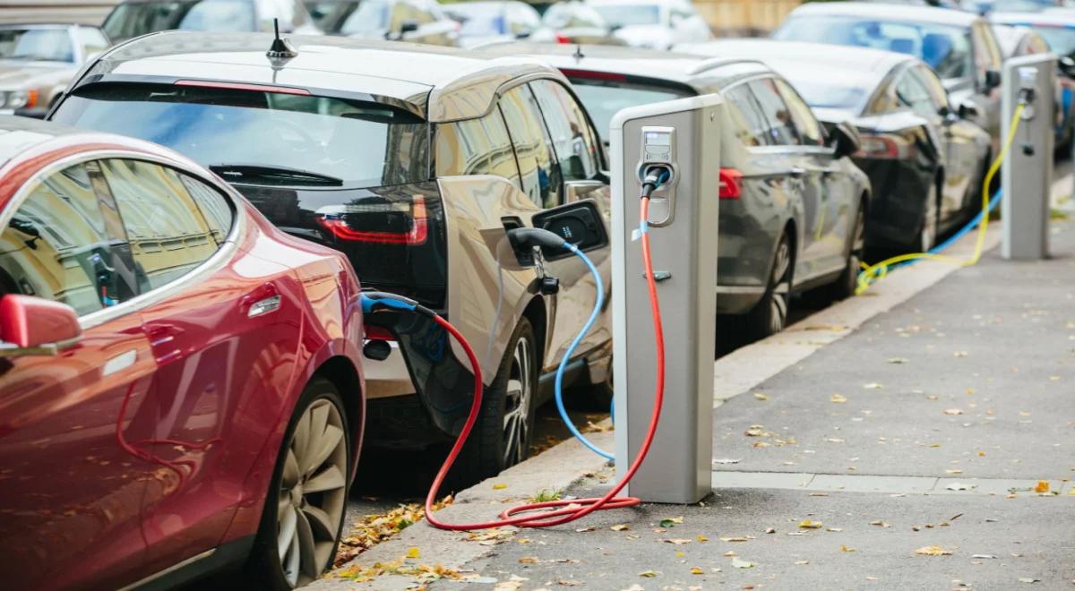 Rośnie liczba rejestrowanych elektryków i hybryd. Dynamiczny wzrost produkcji