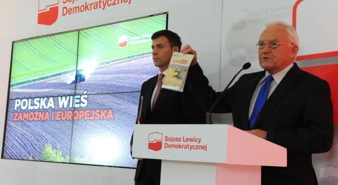 "Rząd nie ma pomysłu, my mamy". Program SLD