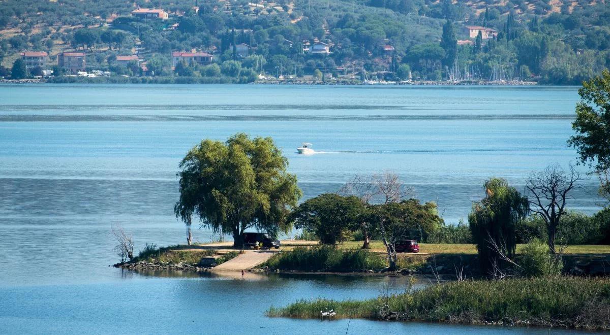 Te owady to prawdziwa zmora turystów. Pomóc ma sztuczna wyspa