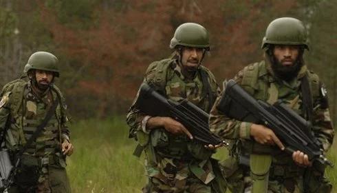 Fazlullah w stanie krytycznym