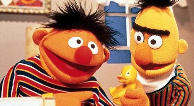 Bert i Ernie z "Ulicy Sezamkowej" wezmą ślub?