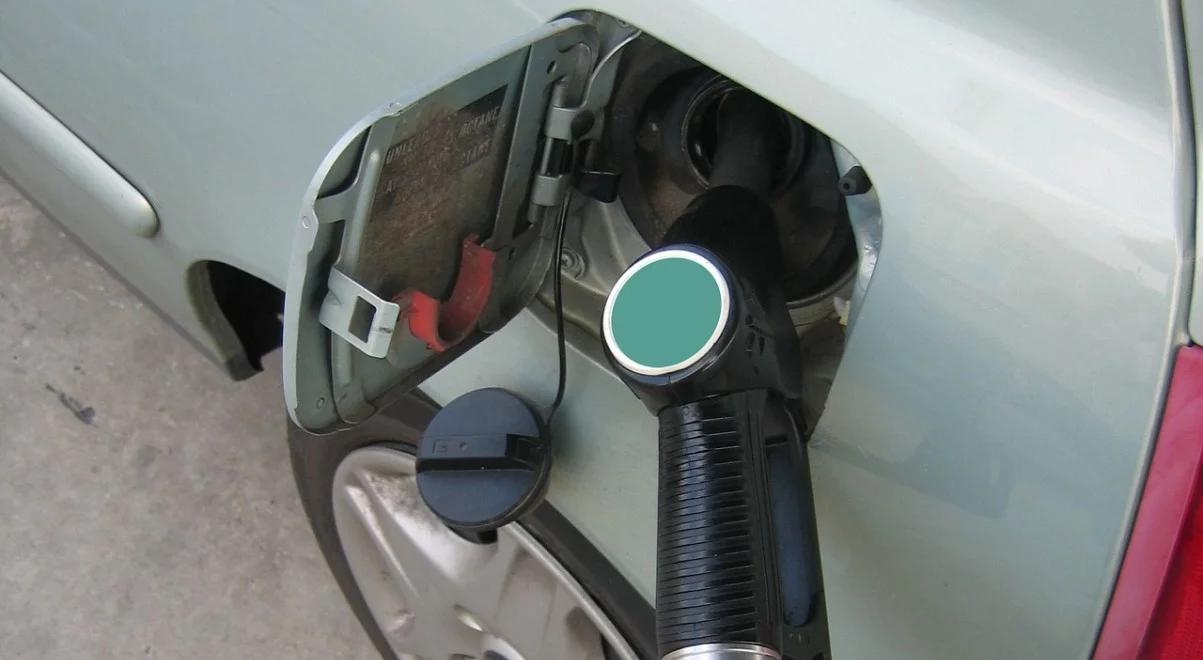 Na polskich stacjach paliwowych wiosna: diesel tanieje, benzyna drożeje