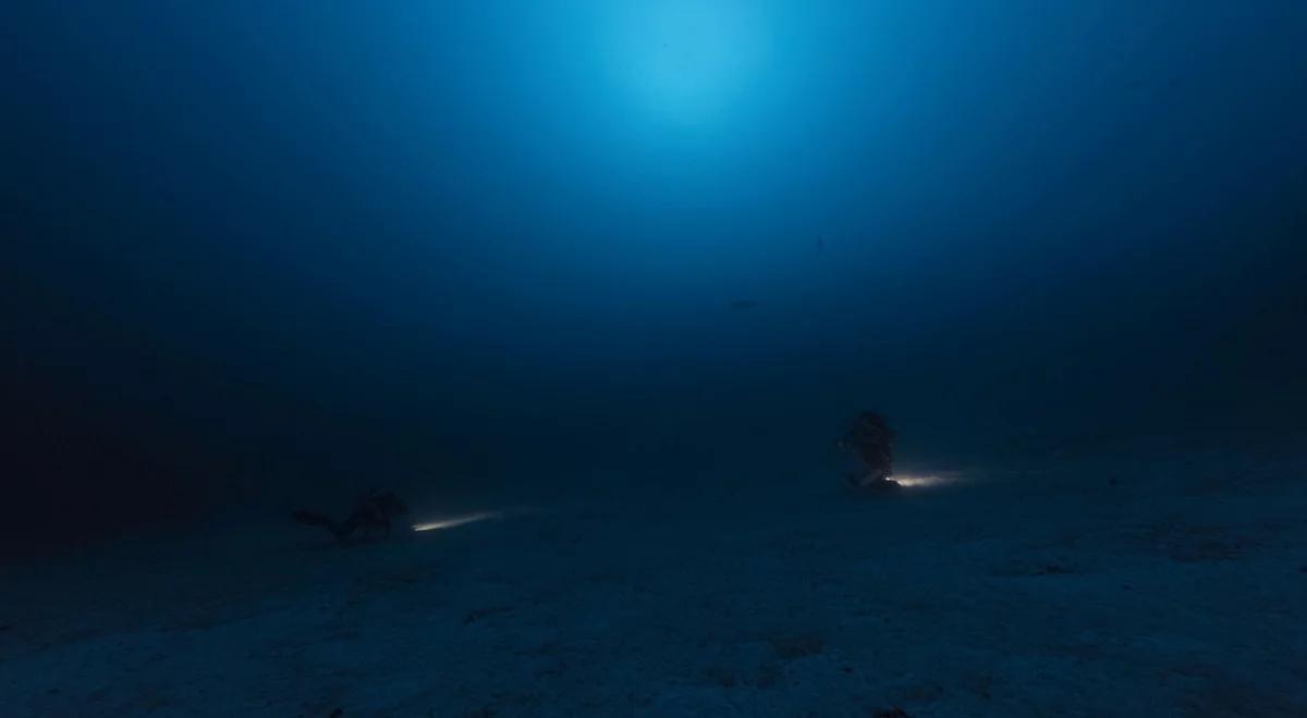 Zatopiony ląd sprzed 140 000 lat? Niezwykłe odkrycie z dna Oceanu Indyjskiego