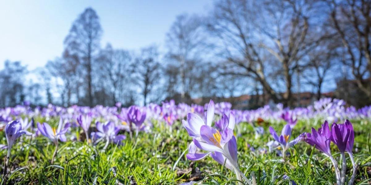 Pogoda na Wielkanoc. IMGW jednoznacznie: czekają nas ciepłe święta