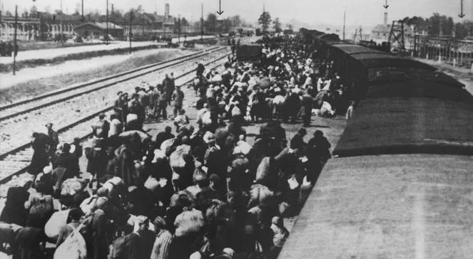  Auschwitz. Pierwszy marsz śmierci. "Kolumny szkieletów w pasiakach"