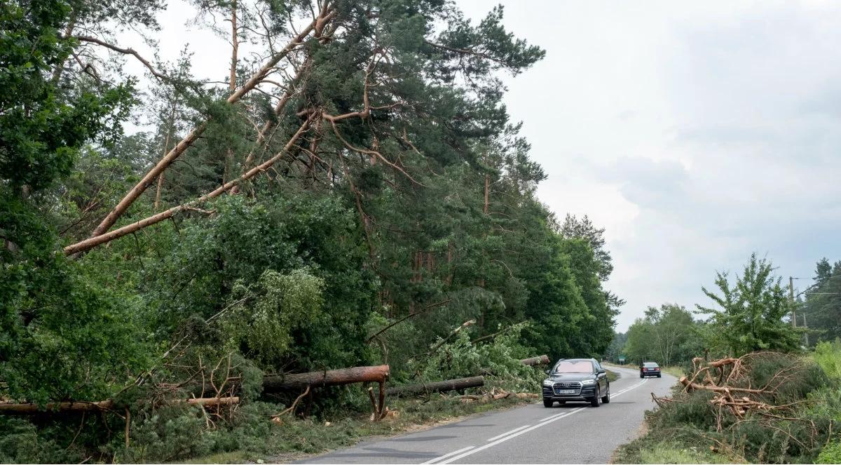 Ponad tysiąc interwencji po gwałtownych burzach nad Polską