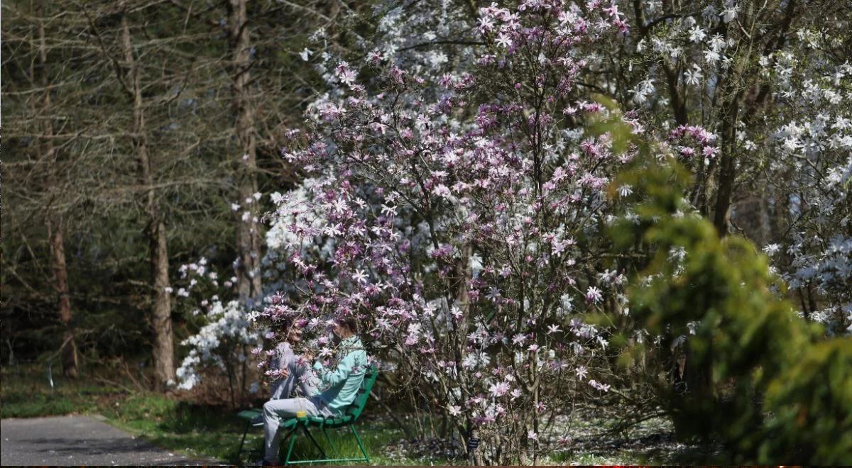 Ogród Botaniczny w Powsinie. "Kontakt ze sztuką i z przyrodą" 