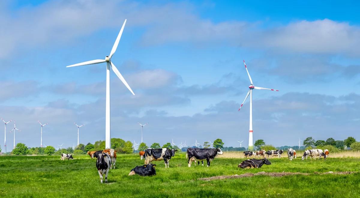 Kontrowersyjna zasada 10H. Czy jej zmiana poprawi sytuację samorządów i firm energetycznych?