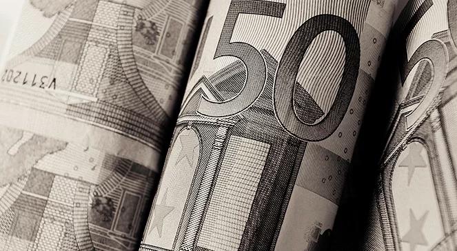 Po co Polakom euro?