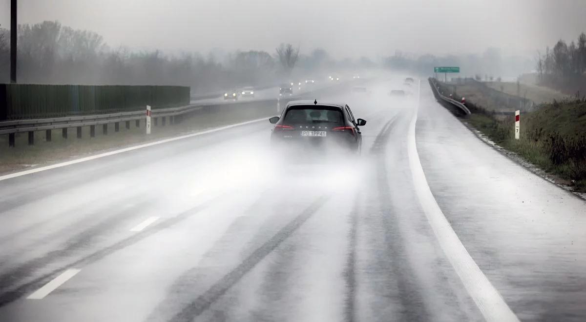 Dodatnie temperatury, możliwe opady deszczu. Prognoza pogody na sobotę