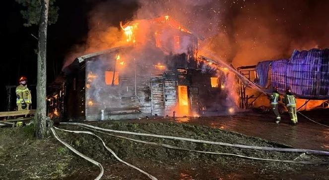 Pożar w stadninie "Huculski Raj" w Warszawie. Zginęło osiem koni