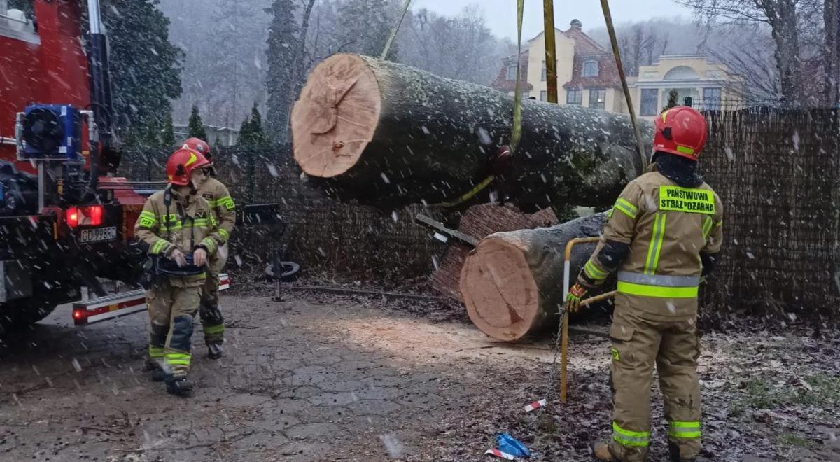Wichury nad Polską. Ponad 2 tys. mieszkańców Pomorza nie ma prądu. Służby sukcesywnie usuwają awarie
