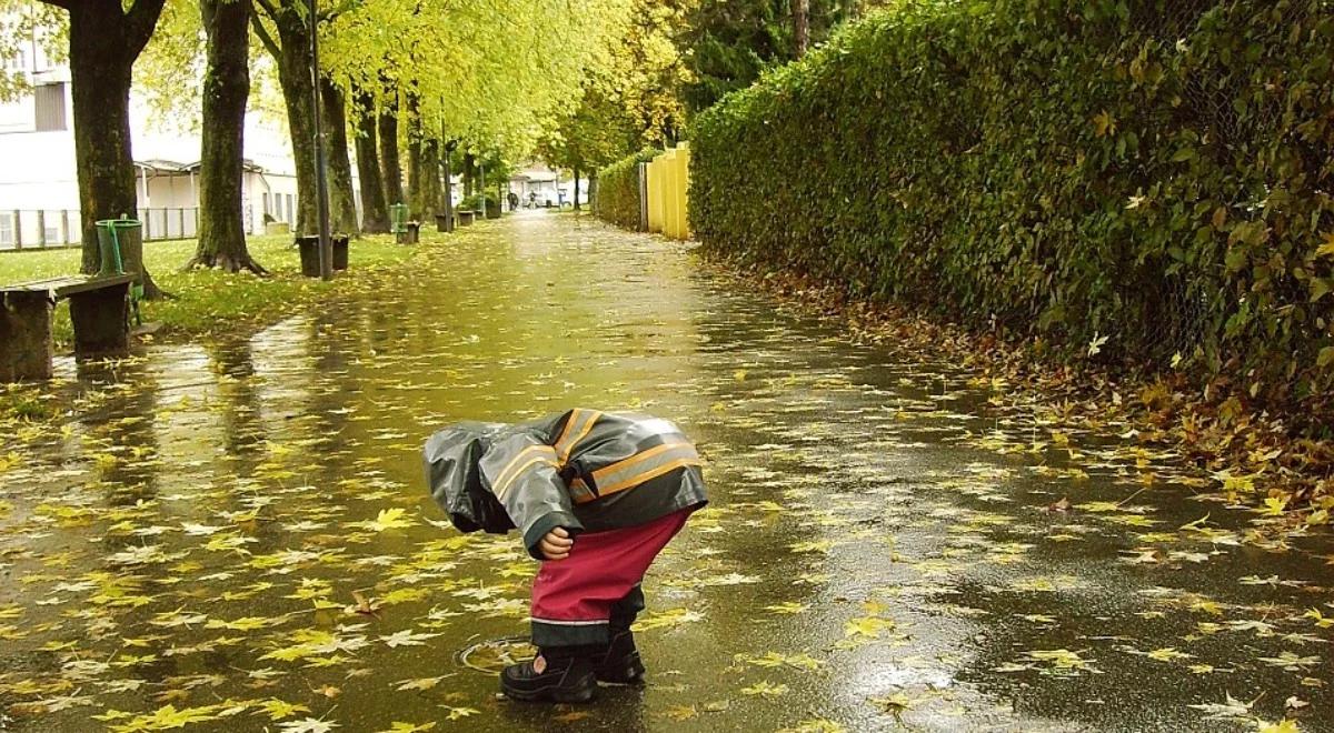 Prognoza pogody: kolejny dzień z jesienną aurą. Powieje i popada. Może też zagrzmieć 