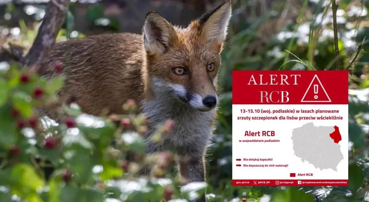 Alert RCB od 13 do 15 października. Ostrzeżenie dla mieszkańców Podlasia
