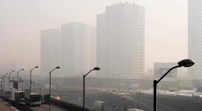 Smog - zmienia się świadomość ekologiczna Polaków