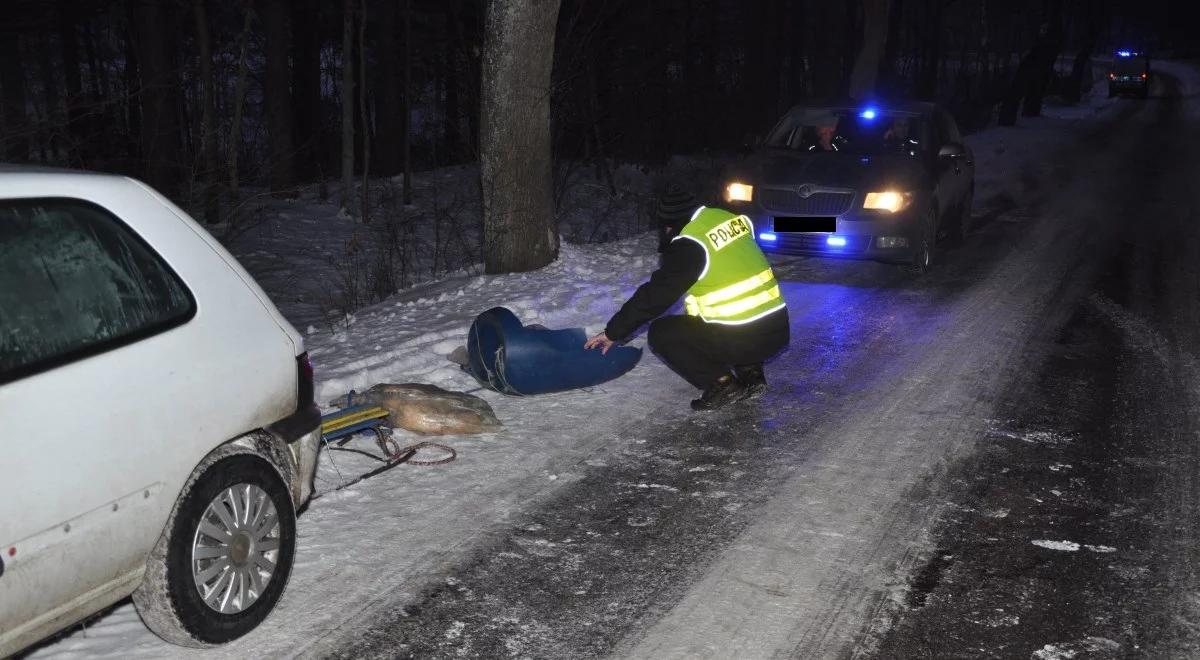 Elbląg: nie żyje 15-letnia dziewczyna, która uderzyła w drzewo podczas kuligu