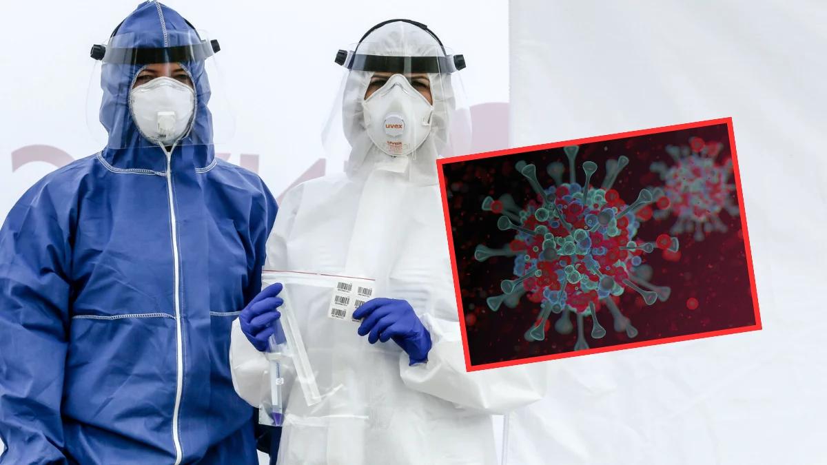 Pandemia wróci już latem? Nimbus to nowy, "ultra zaraźliwy" wariant COVID-19