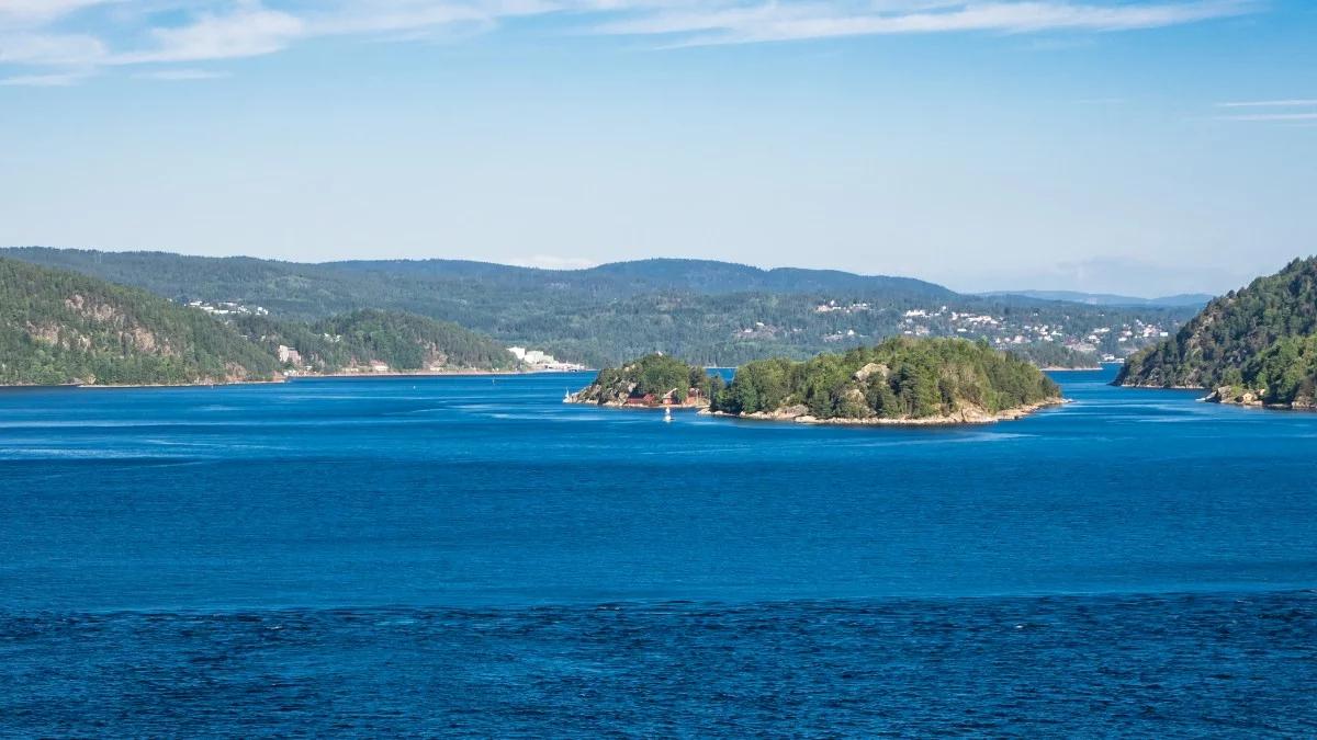 Fiord Oslo wymiera przez algi. Zniszczone siedliska ryb, znikające gatunki