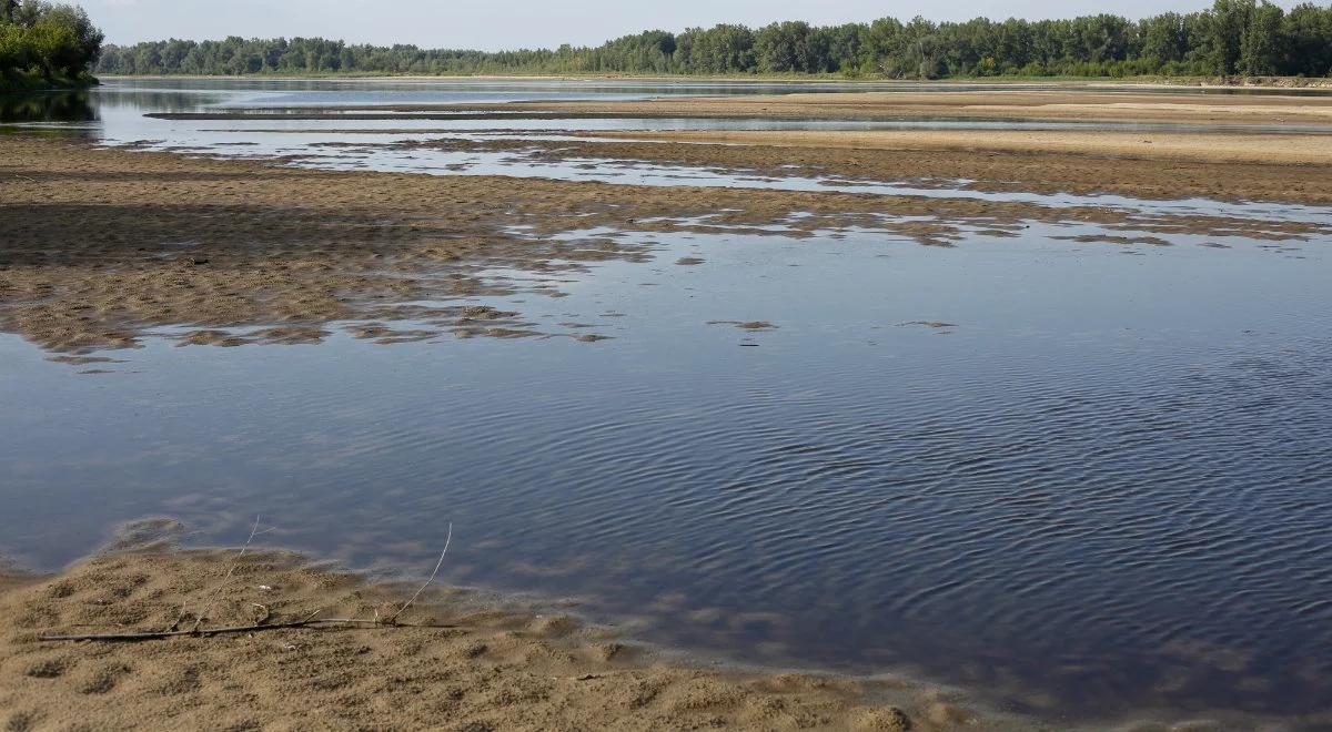 Wyjątkowo niski poziom wody w rzekach. IMGW prognozuje jedynie niewielkie opady