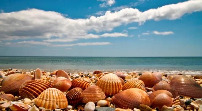 Najpiękniejsze włoskie plaże są na Sardynii