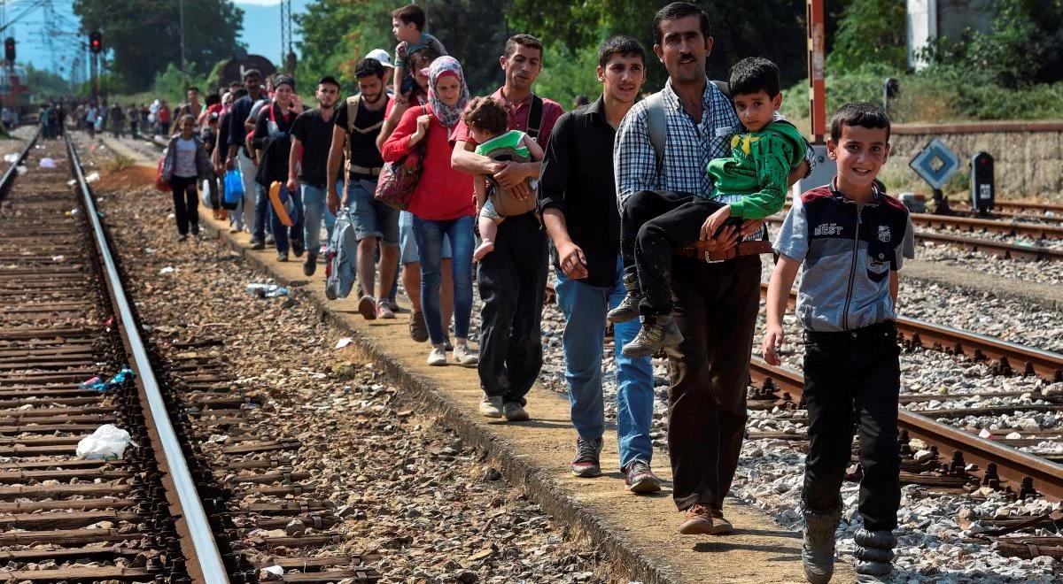 Alarmujące dane ws. imigrantów. "Największy kryzys od czasu II wojny światowej"